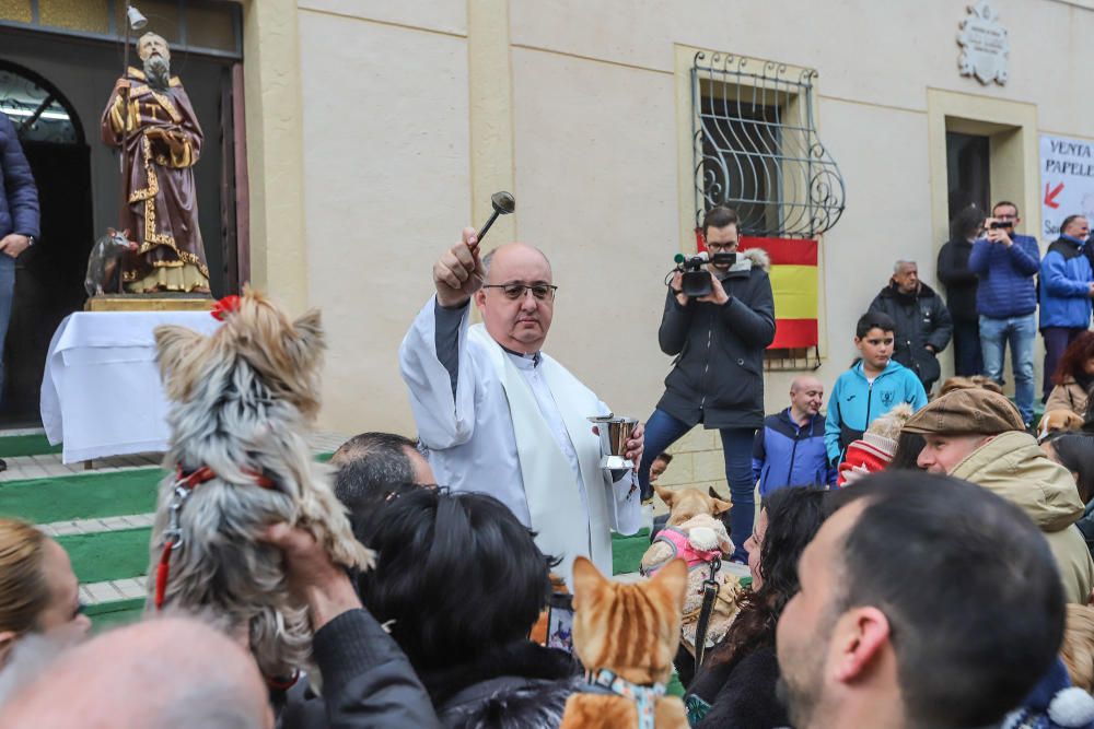 Orihuela celebra San Antón con el concurso de charlatanes, bendición y distinciones