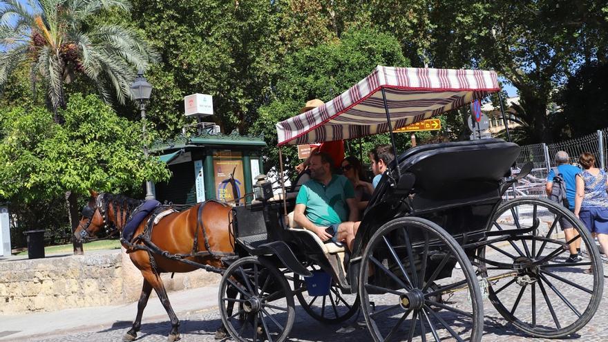 Los coches de caballo en Córdoba, una tradición que se adapta