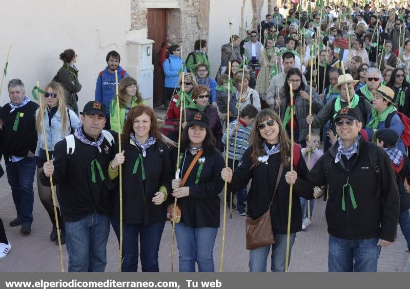 GALERÍA DE FOTOS - Romería Magdalena 2014 (4)