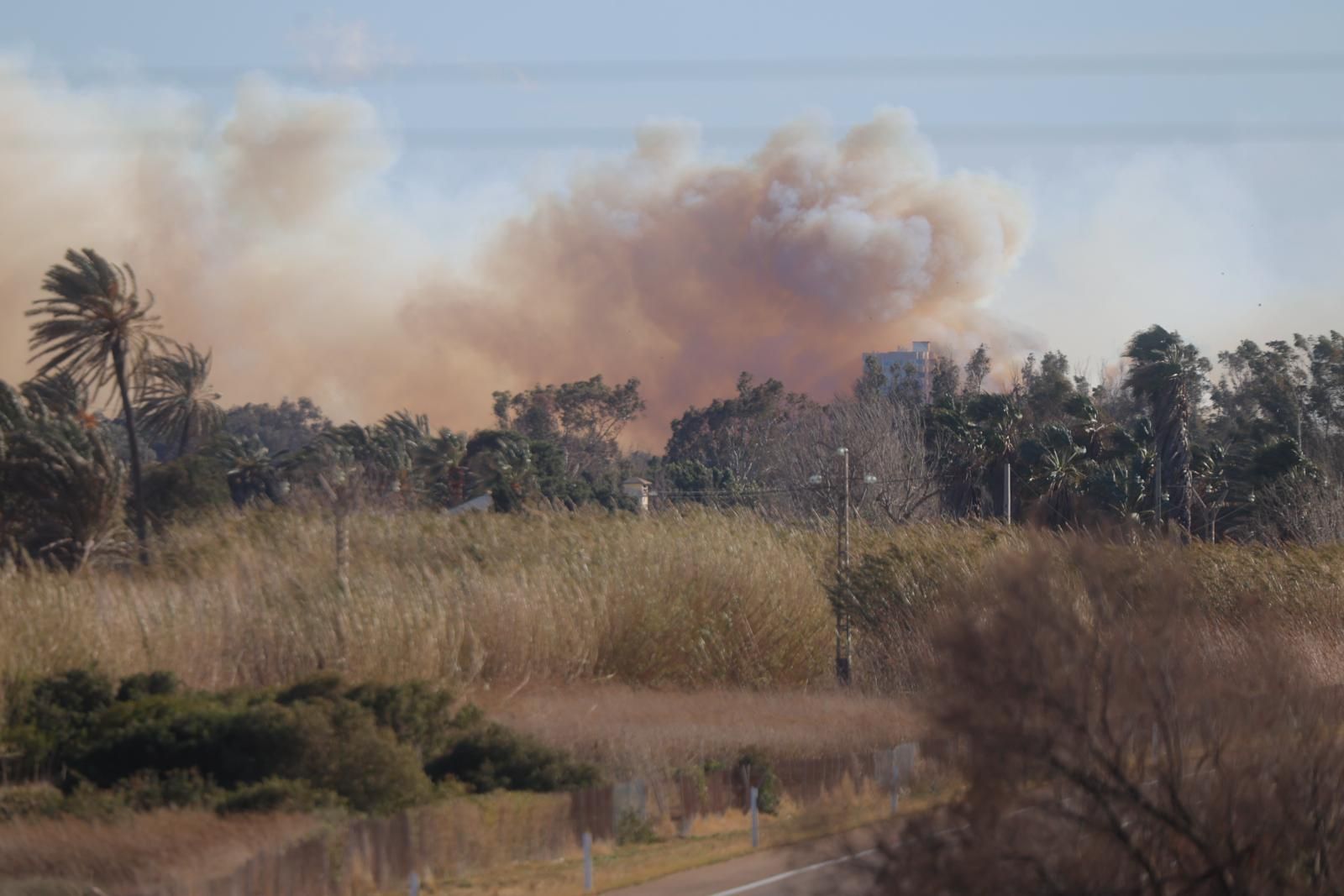 Declarado un incendio en el Saler