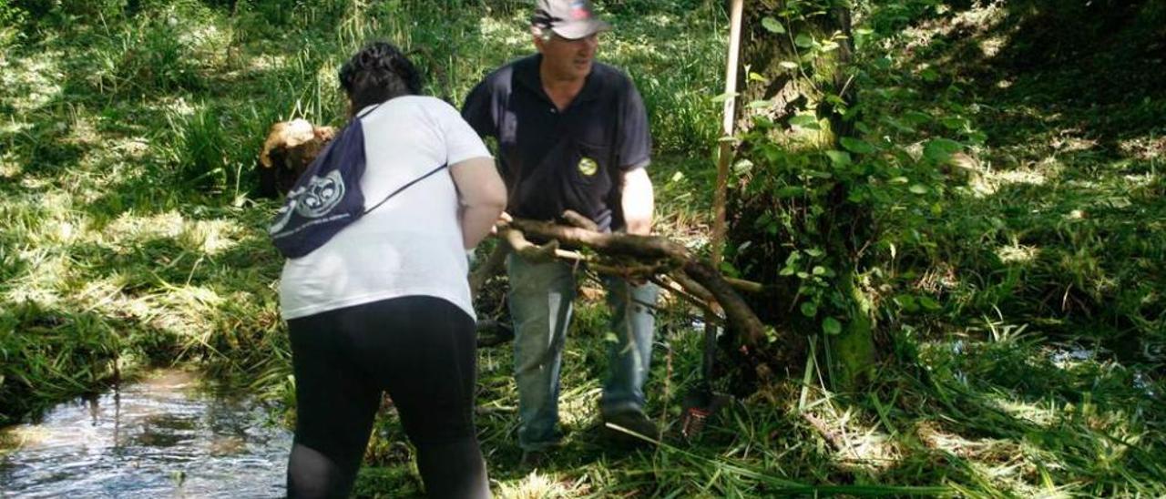 La concejala Isabel Fernández y el vecino José Manuel Fernández trabajan en la limpieza del arroyo.