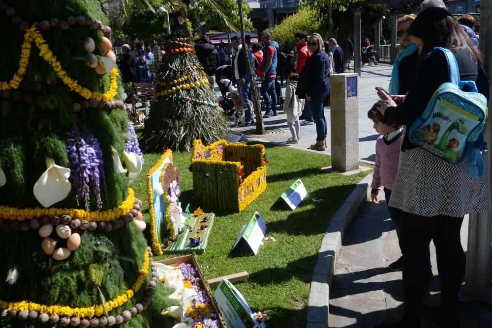 Os Maios en Vilagarcía