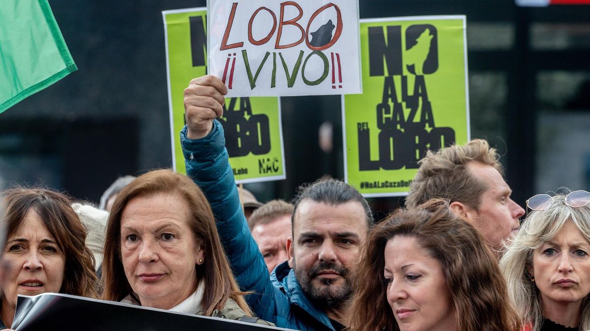 Archivo - Decenas de personas durante la concentración ‘Salvar al lobo ibérico’, en la Plaza de Callao, a 5 de abril de 2025, en Madrid (España).