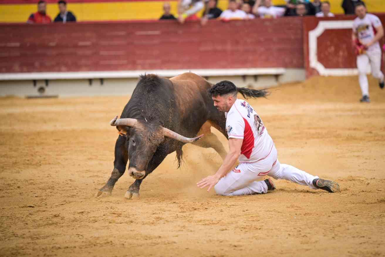 Así ha sido el Concurso Nacional de Recortadores de Castellón