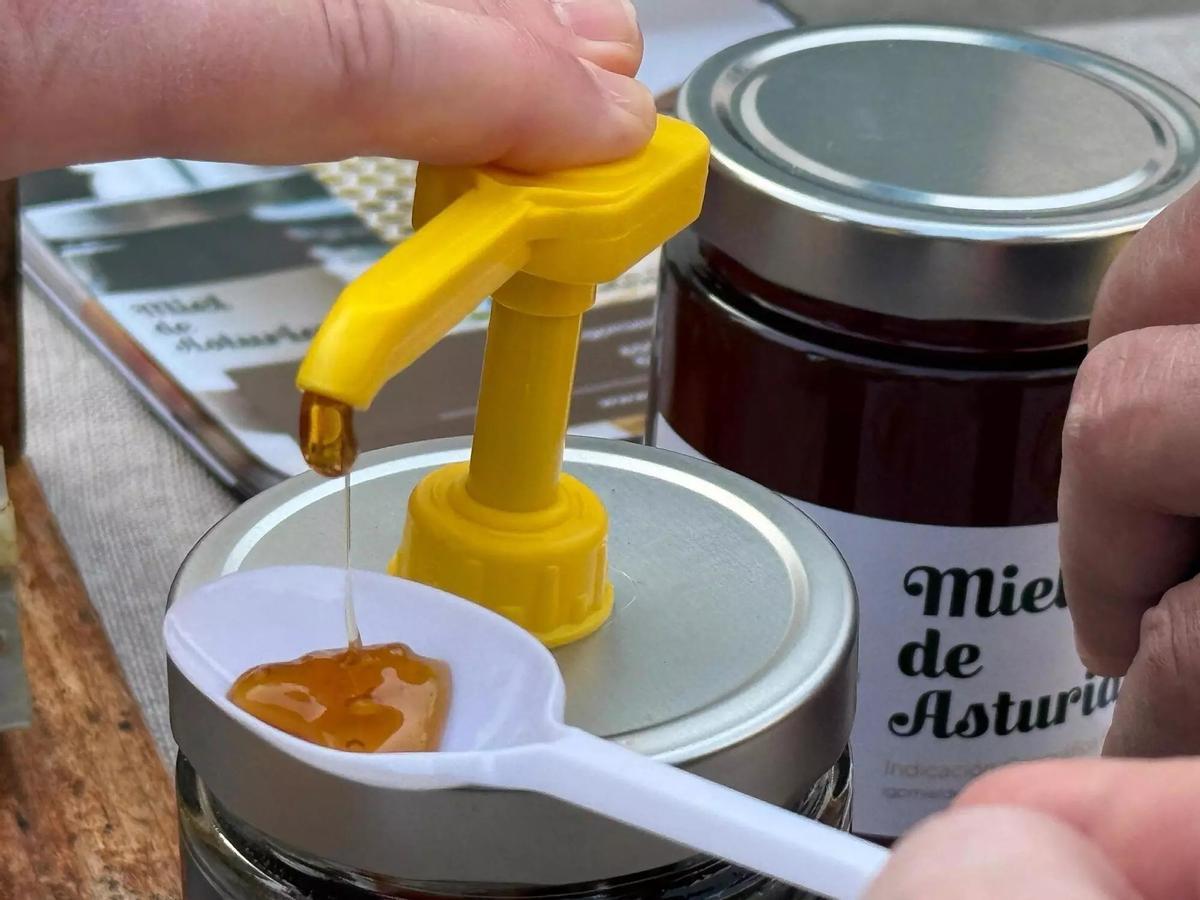 Miel de Asturias en la cata organizada por los apicultores asturianos en Oviedo.