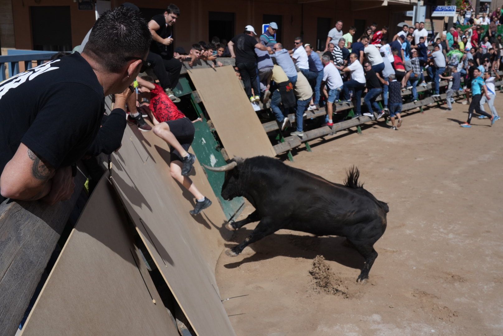 Galería: El primer encierro de las fiestas de Sant Pasqual 2023 en imágenes