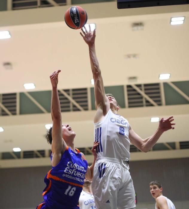 cibona - Valencia Basket