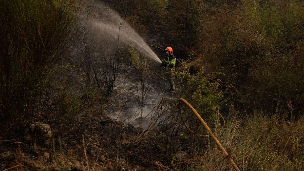 Extinguir incendios forestales sin invertir más en prevención es “pan para hoy y hambre para mañana”