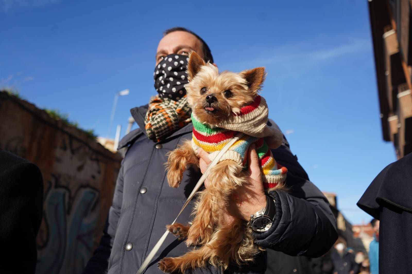 GALERÍA | ¡Benditos animales! Las pequeñas fieras reciben la bendición por San Antón en Zamora