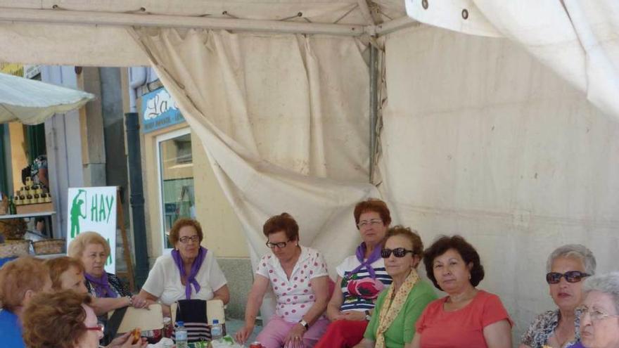 Componentes de la Asociación de Amas de Casa de Mieres del Camino.