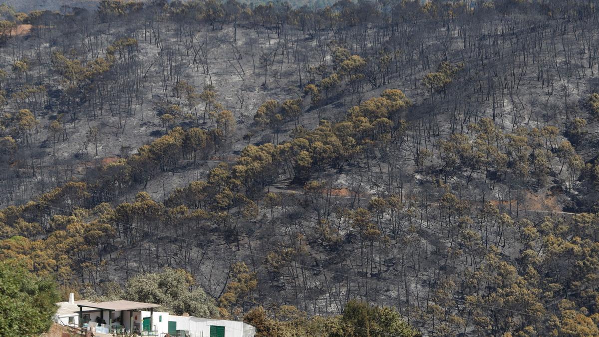 Tercera jornada de trabajos de extinción del incendio en Sierra Bermeja.