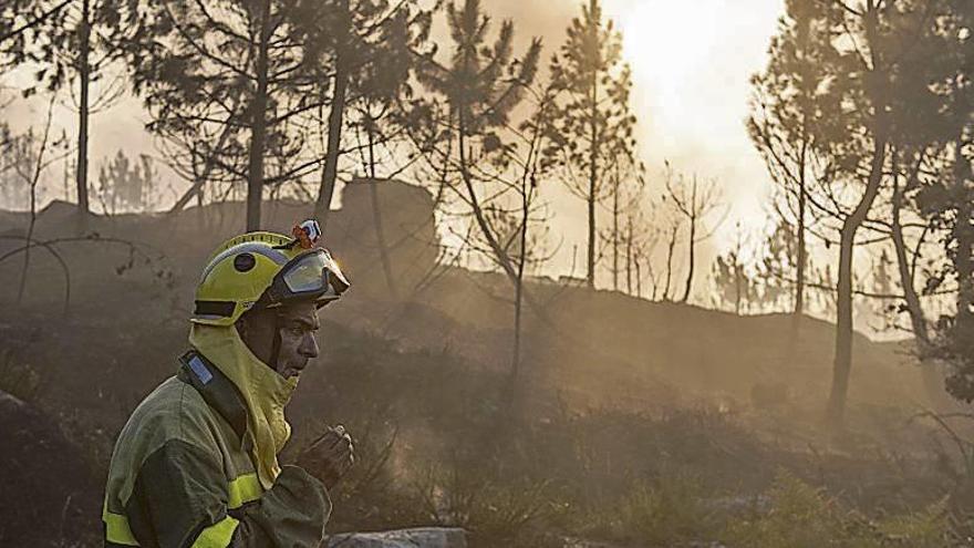 Estabilizados los incendios que han arrasado casi 400 hectáreas en Avión y Laza