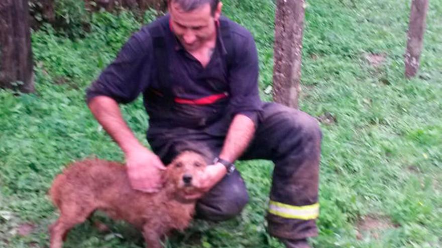 El miembro del equipo con el perro que sacó del agujero. // GES / E.G.