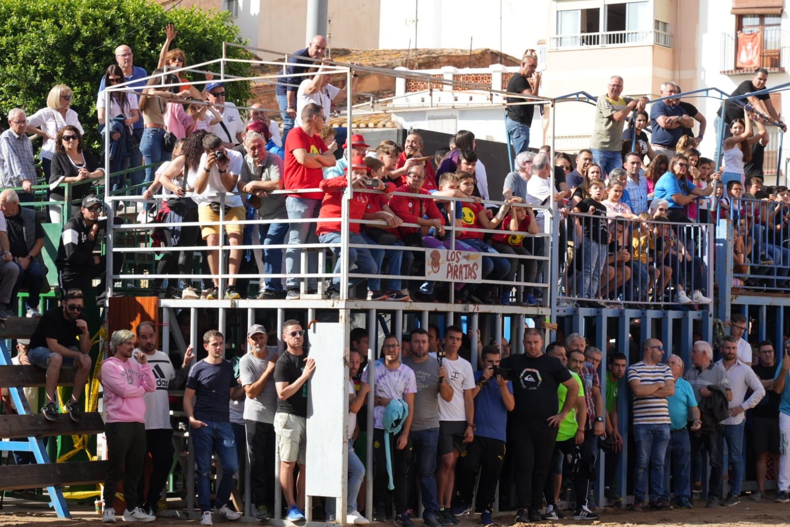 Las mejores imágenes del encierro de  Couto de Fornilhos y Santa Teresa en Onda