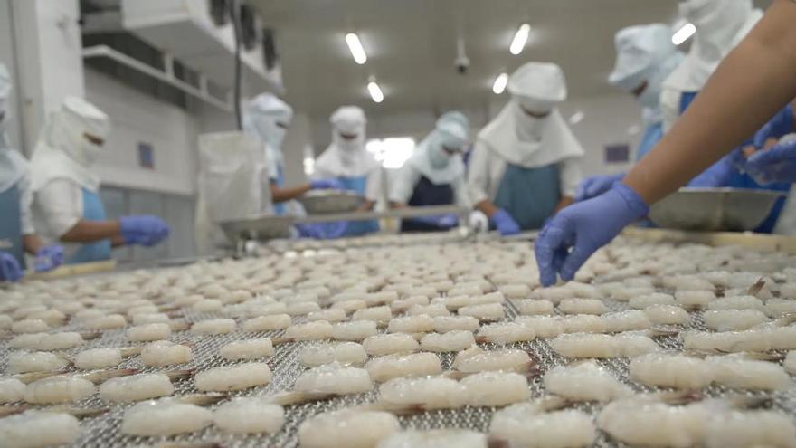 Grupo Profand se instala en el «top 20» mundial de pesqueras y devuelve a la industria gallega al olimpo