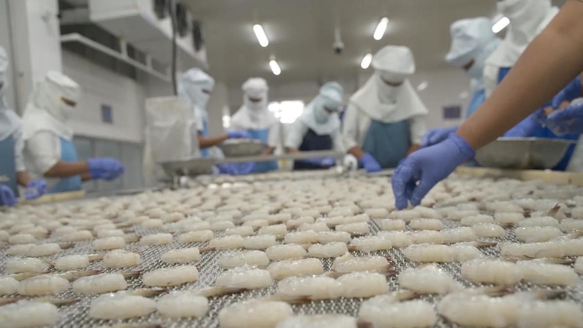 Grupo Profand se instala en el «top 20» mundial de pesqueras y devuelve a la industria gallega al olimpo
