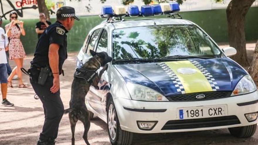 Un agente de la Policía Local de Orihuela durante una exhibición con un perro policía.