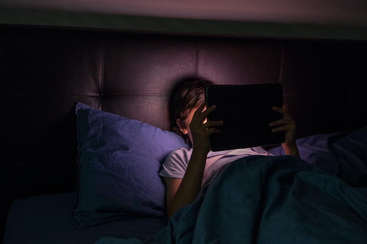 ¿Es tecnológicamente posible identificar a un menor que quiera acceder a una página porno?