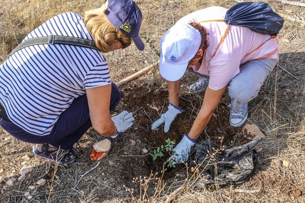 La Tercera Edad participa en la plantación de un centenar de árboles