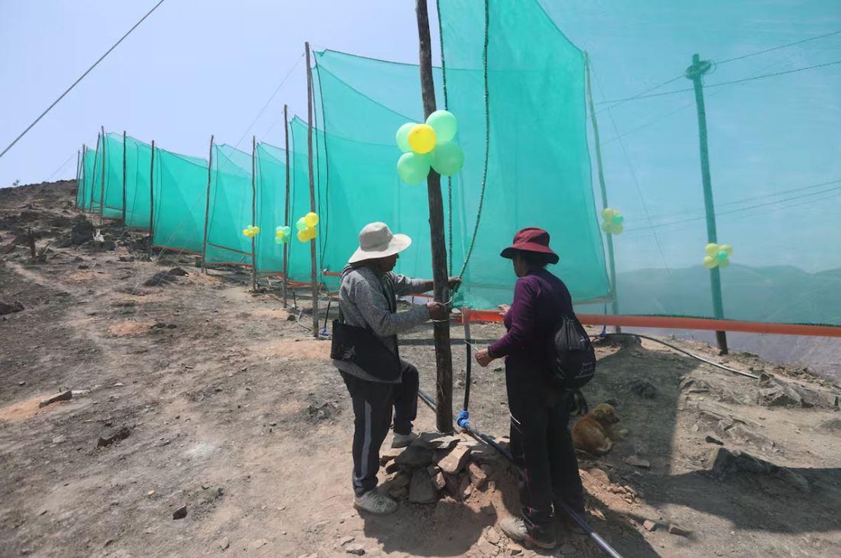 Colocando la instalación de los paneles