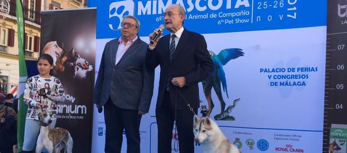 Pasarela promocional Mi Mascota