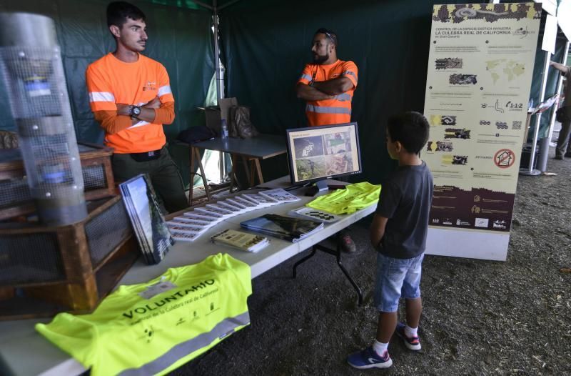 Feria Insular de Caza