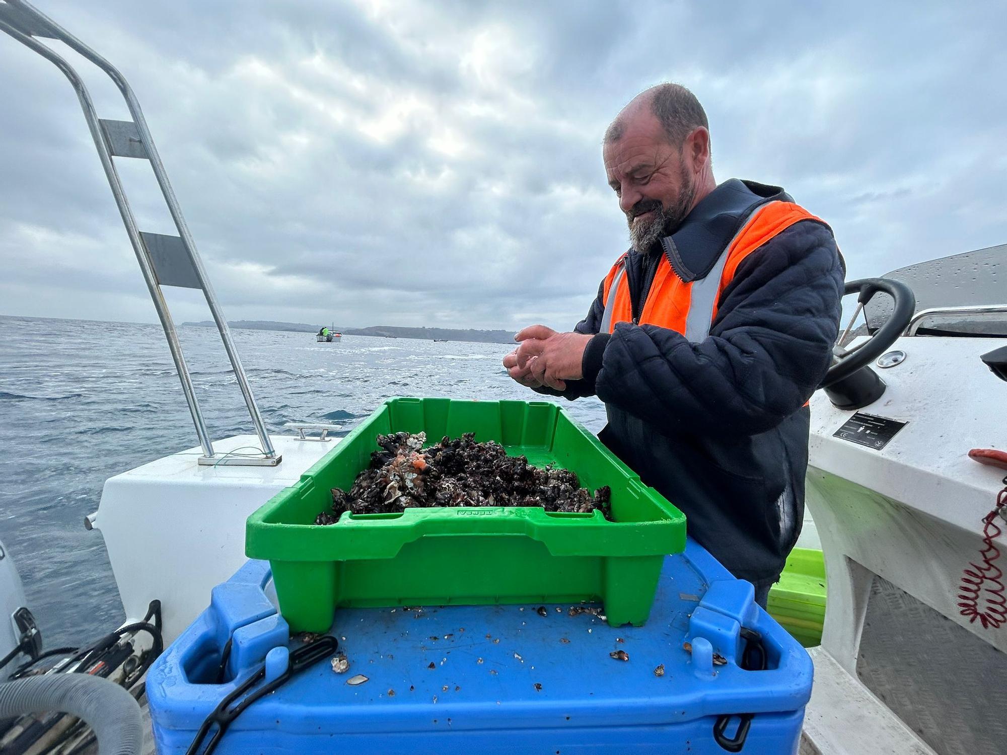 EN IMÁGENES: Así luchan los mariscadores de Luanco por cada kilo de percebe en el cabo Peñas