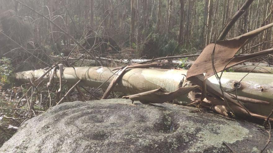 Dos de los petroglifos localizados en la zona de Seselle, el de arriba afectado por el tornado que azotó la zona. |