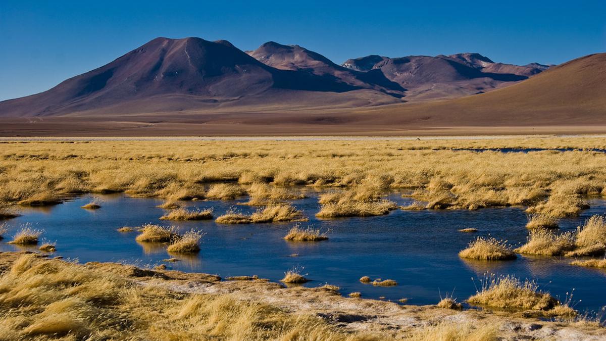 Turbera de Putana en San Pedro de Atacama (Chile).