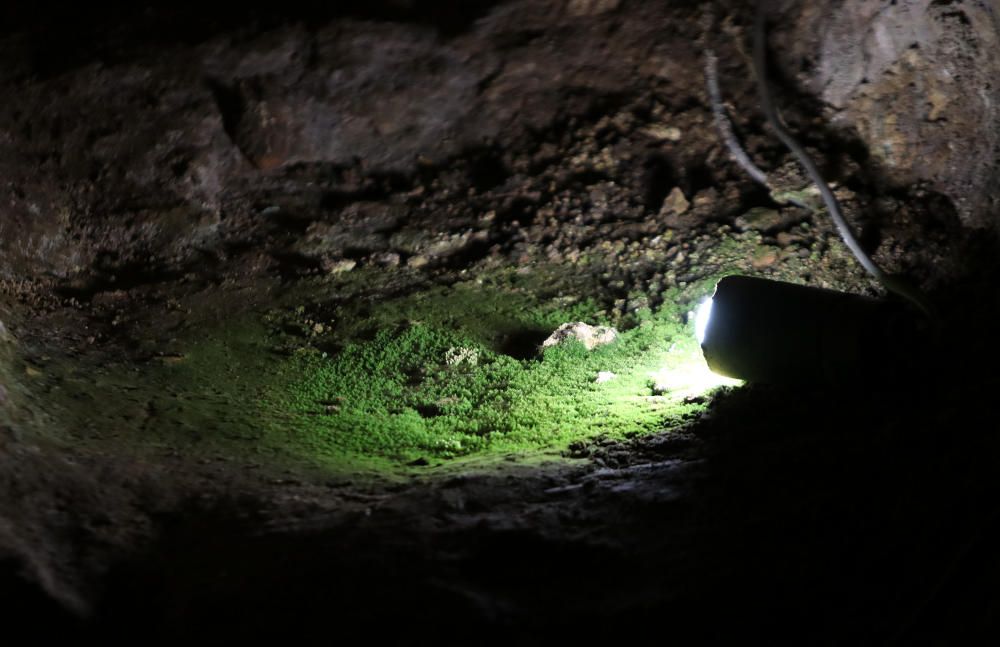 La familia propietaria de la Cueva del Tesoro reclama que un arqueólogo se haga cargo de la dirección del monumento