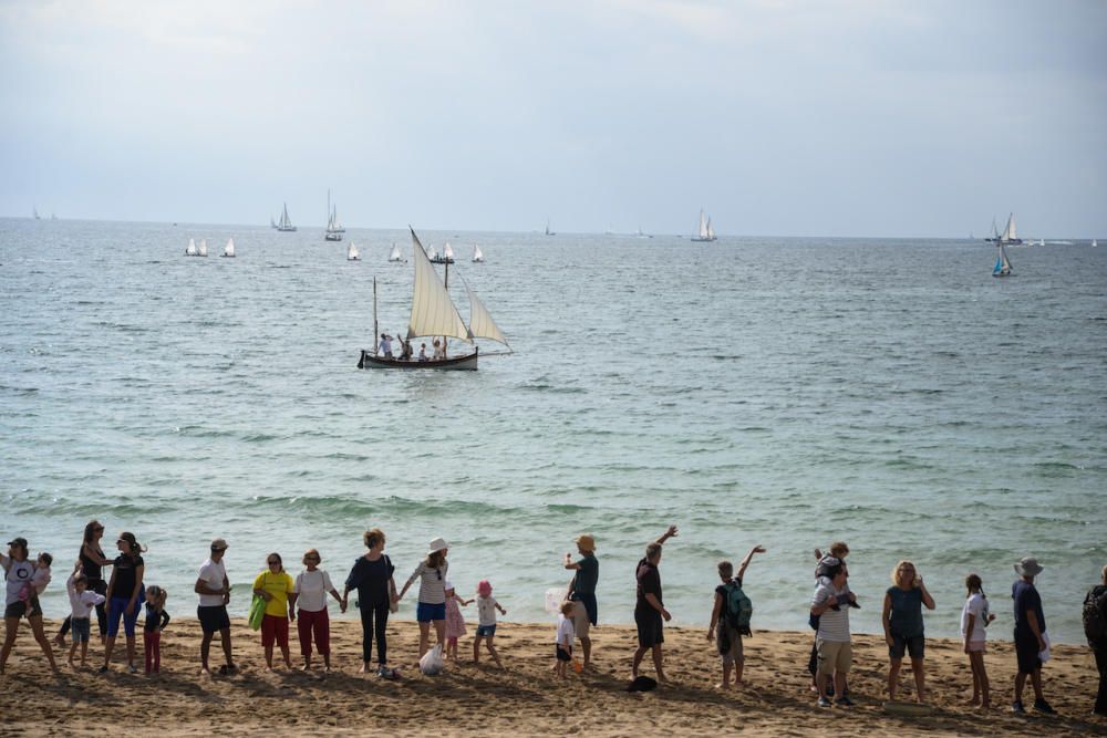 Menschenkette für einen saubereren Strand in Palma de Mallorca