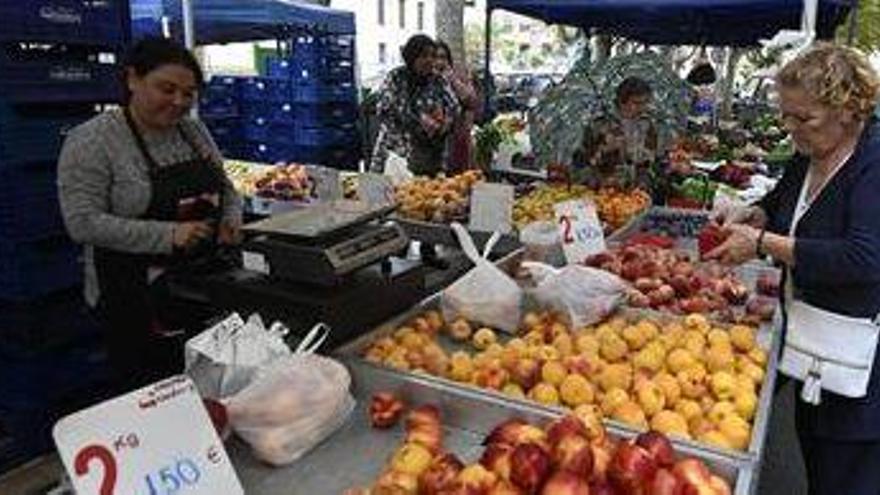 Castelló no celebrará el Mercat del Dilluns pero sí reubicará el del Grau