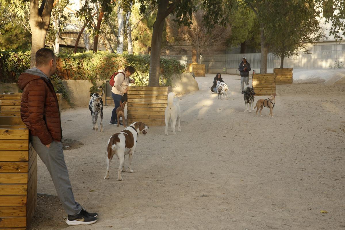 Interior del pipican gigante del parque de l'Estació del Nord, donde coinciden decenas de perros a diario