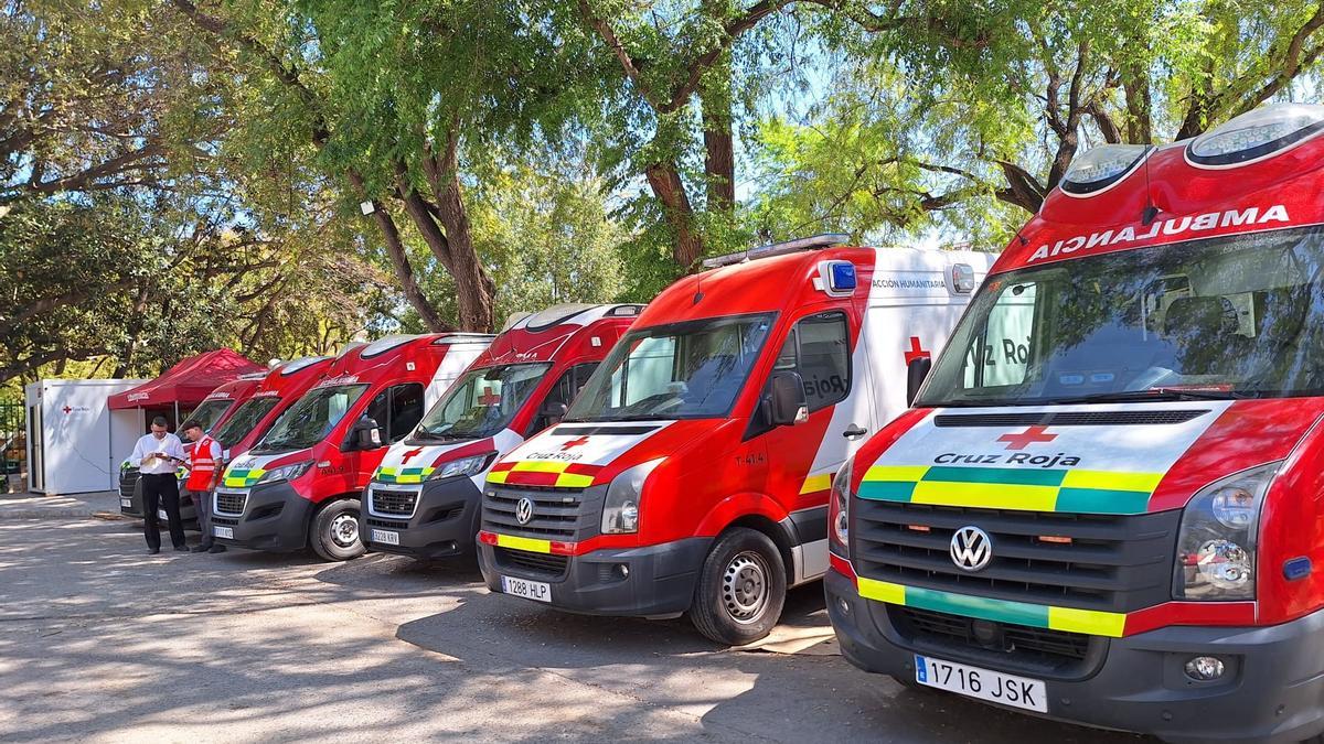 El hospital de campaña más grande de España está en la Feria de Sevilla