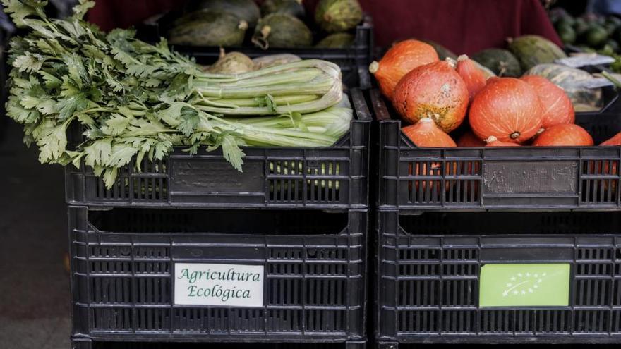 El mercado de Patines avanza por la línea verde