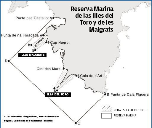 Pesca submarina  El futuro pasa por reducir la potencia de los fusiles -  Diario de Mallorca