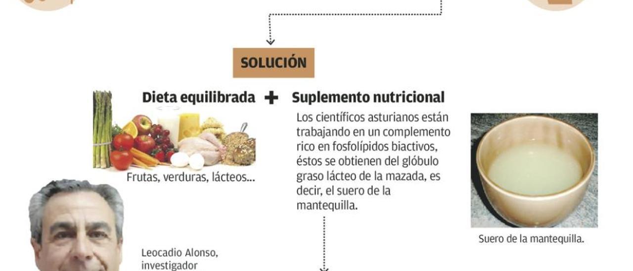 Científicos asturianos desarrollan un alimento que retrasa la vejez del cerebro