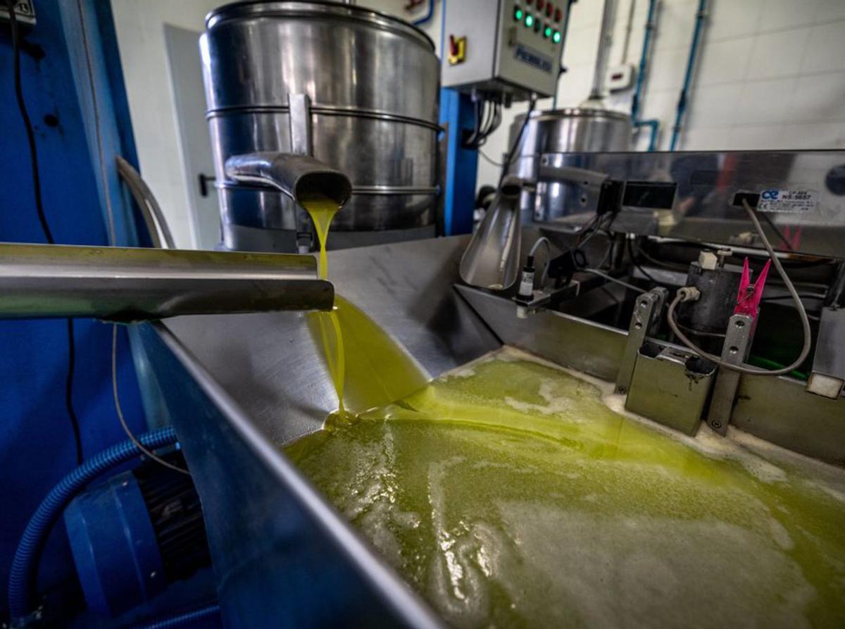 Foment reclama que s’elevin les ajudes d’Estat