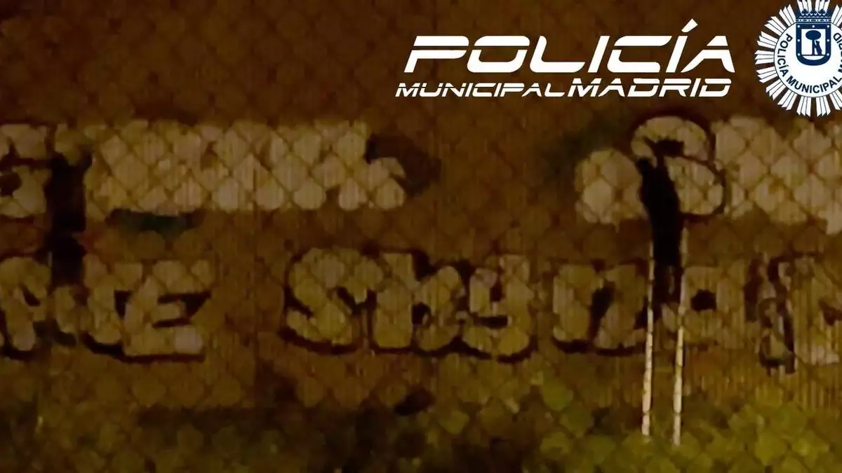 Habla la Policía del grafiti: "Algunos exponen en ARCO por la mañana y por la noche salen a pintar cualquier fachada"