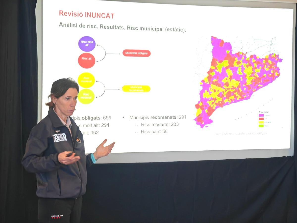 Agnès Centellas durant la seva intervenció a les jornades.