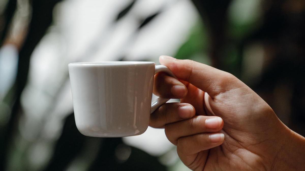 Tomar té blanco te ayudará a adelgazar y a quemar grasas.