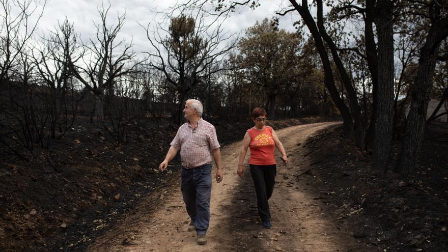 Arde Zamora y nadie llora