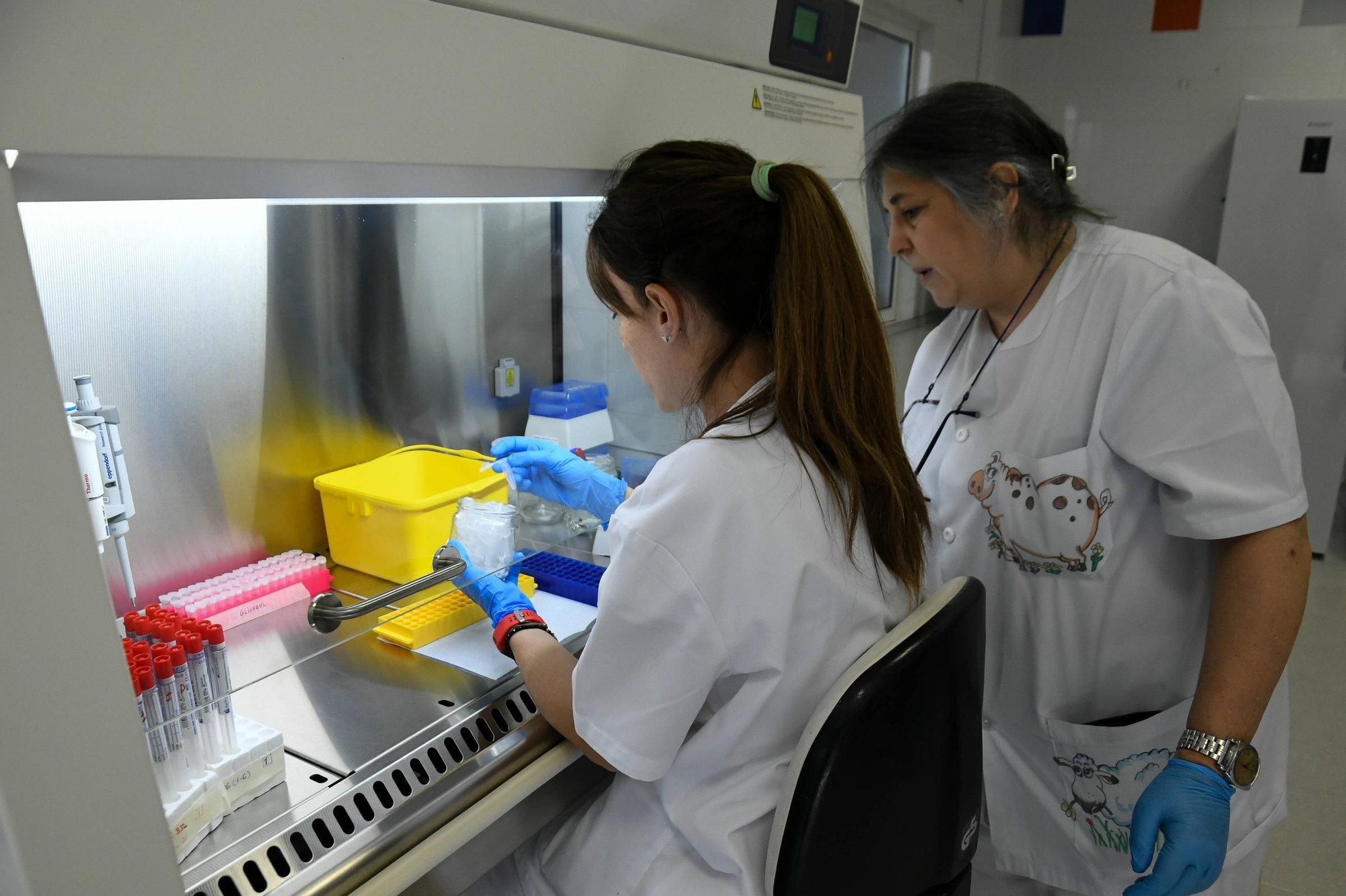 GALERÍA | Así trabaja el Laboratorio de Sanidad Animal de Zamora