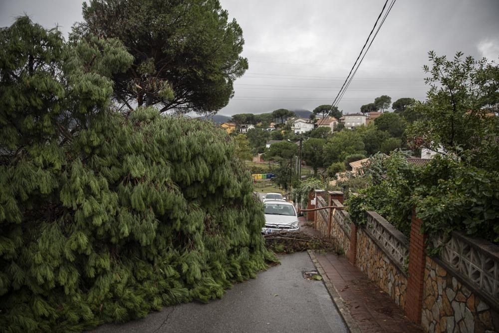 Destrosses a Riells i Viabrea per un tornado