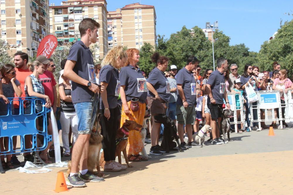 El Parque Huelin ha acogido la primera edición de un evento destinado a las mascotas y a sus dueños, con carreras en diversas categorías, actividades gratuitas y numerosos stands