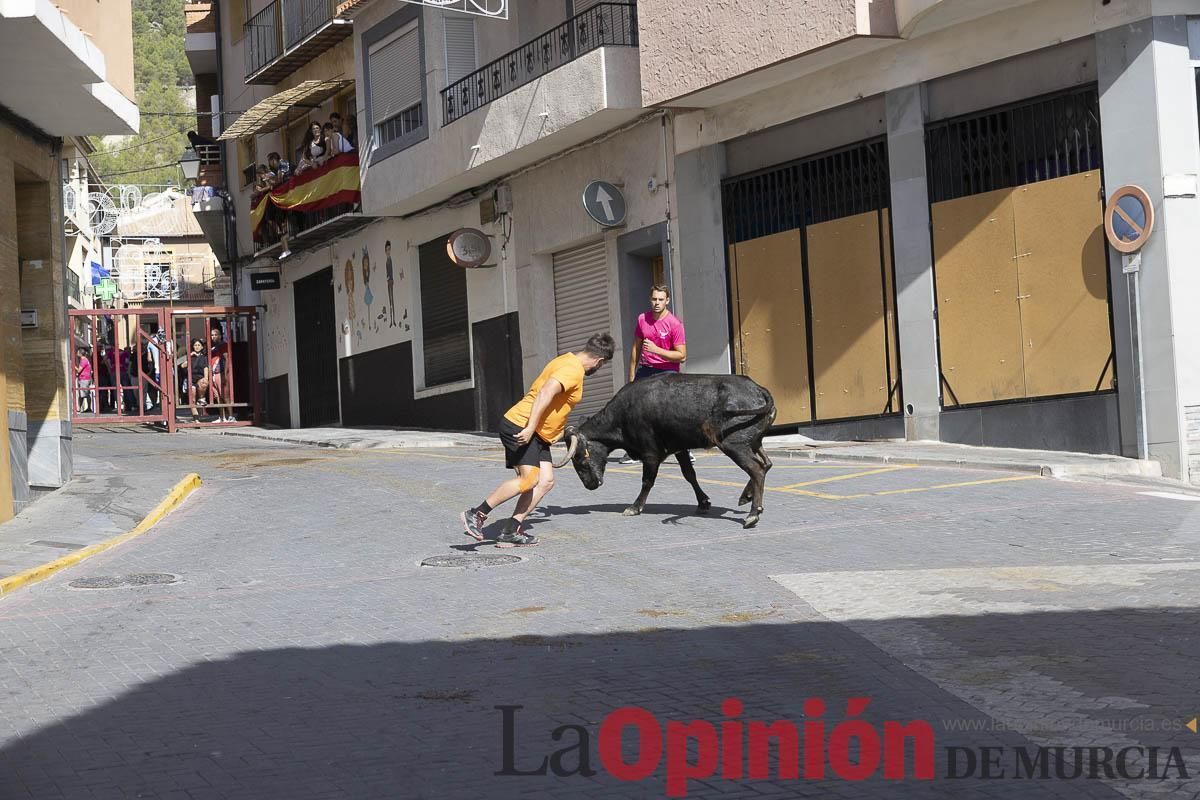 Cuarto encierro en las Fiestas de Moratalla