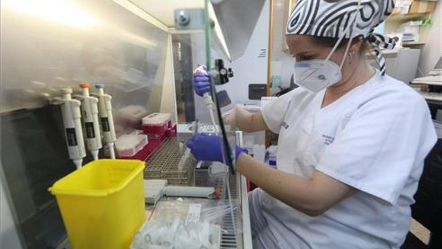 Solo el 7% de las PCR que se hacen en Castellón dan positivo