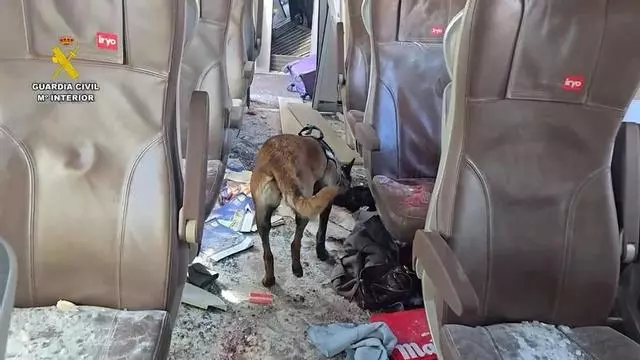 La Guardia Civil inspecciona los vagones descarrilados del tren Iryo con ayuda de perros