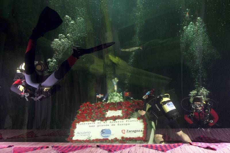 Fotogalería: Ofrenda de flores en el acuario de Zaragoza