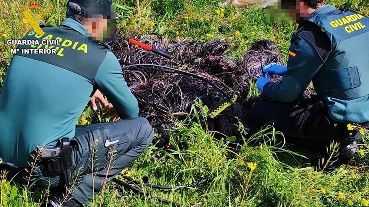 Dos agentes junto al cableado de cobre encontrado en el asentamiento de Arroyo de San Serván.